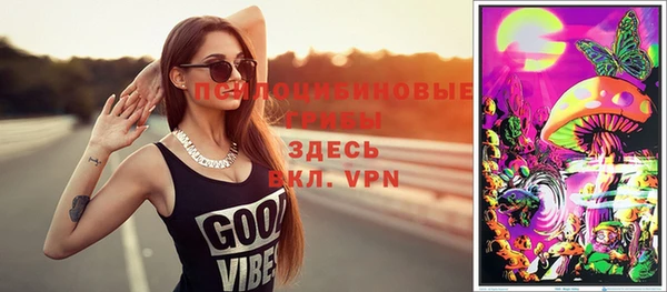ALPHA PVP Верея