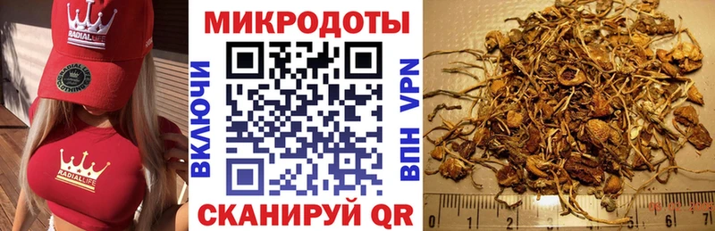 Галлюциногенные грибы мухоморы Курлово